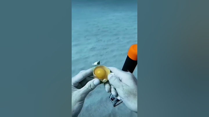 Diver Cracks open an Egg under the Ocean #ocean #egg #funny #funnyvideo #fun #sea #underwater #crack