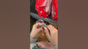 Ce nhớ ăn hạt macca nha