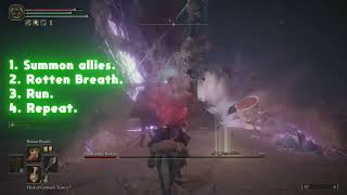 Starscourge Radahn (Too easy) Elden Ring Battle
