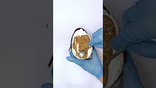 Oreo Cheesecake Stuffed Easter Egg