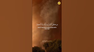 تلاوة تقشعر لها الأبدان بصوت القارئ الشيخ محمد اللحيدان