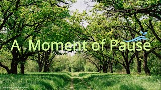 A Moment of Pause 🌿 | Soft Morning Calm ☀️ | Gentle Healing Music screenshot 3