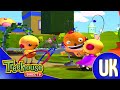 Rolie polie olie  8  squaresville  zowies harmonica  unruly polie olie