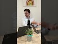 Ventaja Junior: Estudiar Patologías y Negocios Médicos #shorts