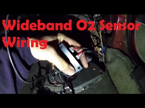 Easy Wideband O2 Sensor Wiring Stinger Pimp Ecu Foxbody Mustang