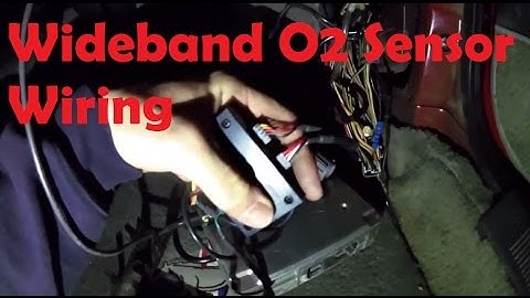 Easy Wideband O2 Sensor Wiring  [Stinger PiMP ECU, Foxbody Mustang]