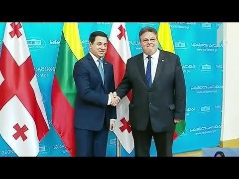 ლინას ლინკევიჩუსის განცხადება