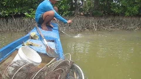 Bắt cá tại Đầm Dơi - Cà Mau