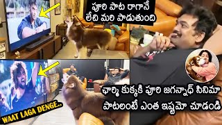 Puri Jagannadh Reaction On Charmee Kaur Dog Singing | Vijay Deverakonda | Waat Laga Denge | NB