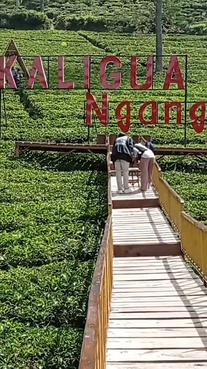 Tempat Wisata Kaligua Brebes #wisatabrebes #visitindonesia