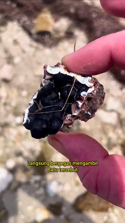 tak menyangka nemu batu kristal hitam langka