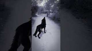 Part A186 Wolf In Village