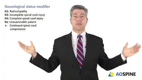 AOSpine Upper Cervical Classification System (2018 )