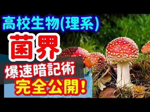 【高校生物 76】系統【菌界の分類】を宇宙一わかりやすく