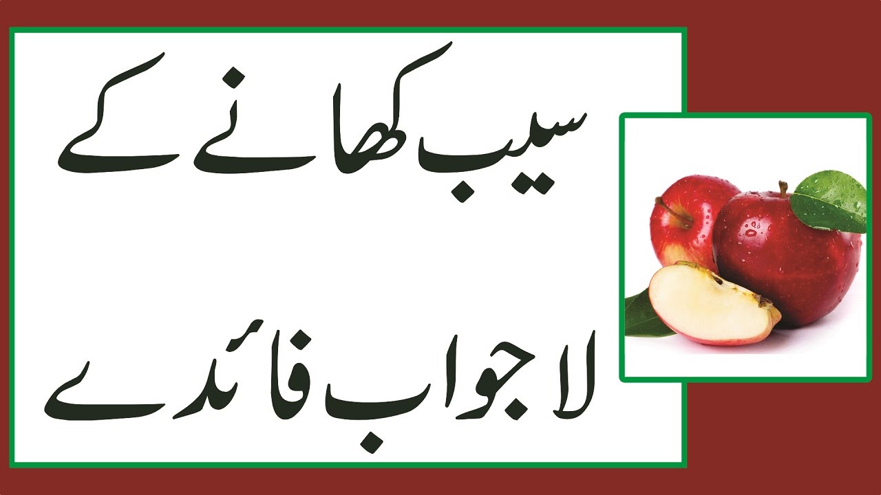 apple essay in urdu