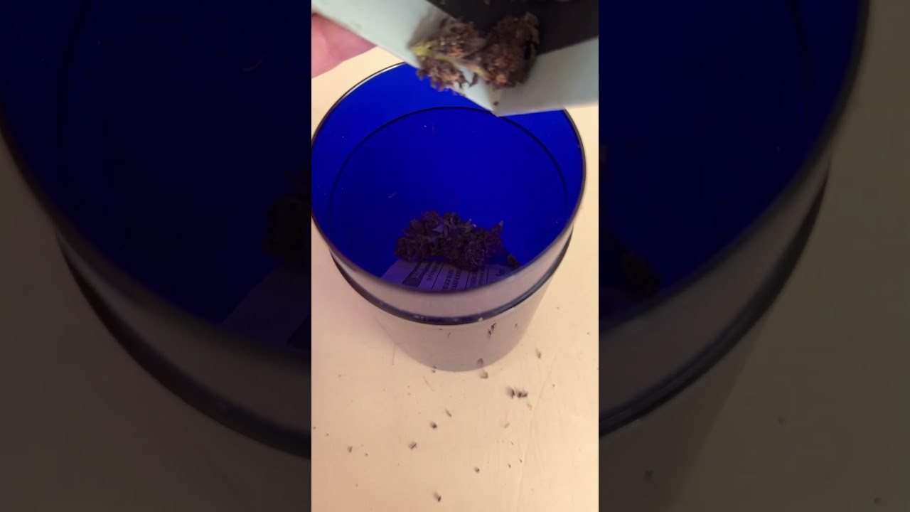 Как я пролечиваю шишки после сушки red poison auto 