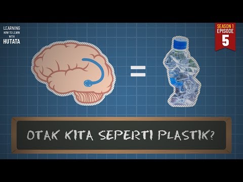Otak Kita Seperti Plastik? 📖LHTL #S01E05