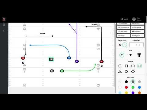 Adult Flag Snag Concept: The NFL Way - FirstDown PlayBook