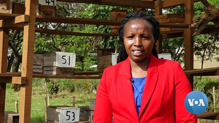 Kenyan Experts: Pesticides Killing Bees, Forcing Farmers to Hand Pollinate