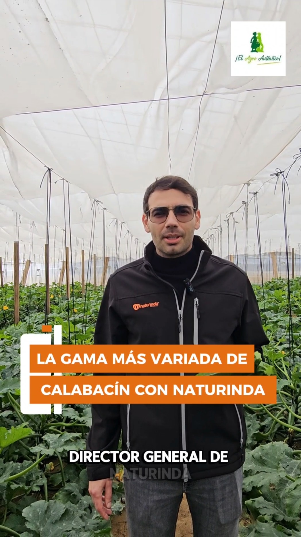 La gama más variada de calabacín con Naturinda
