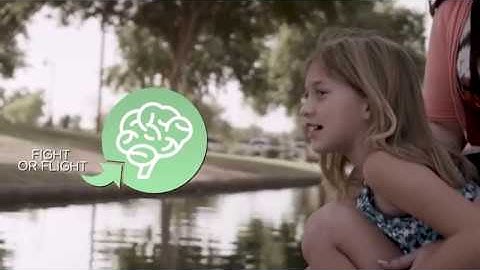 What are TouchPoints™?