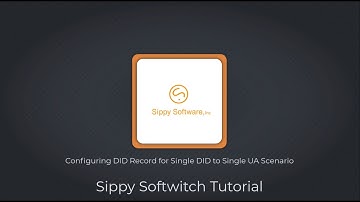 Configuring DID Record for Single DID to Single UA Scenario