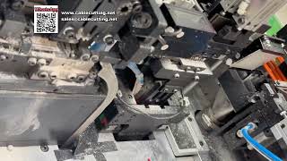 Fully Automatic Housing Insertion Machine Compatible with Various Wire Sizes System
