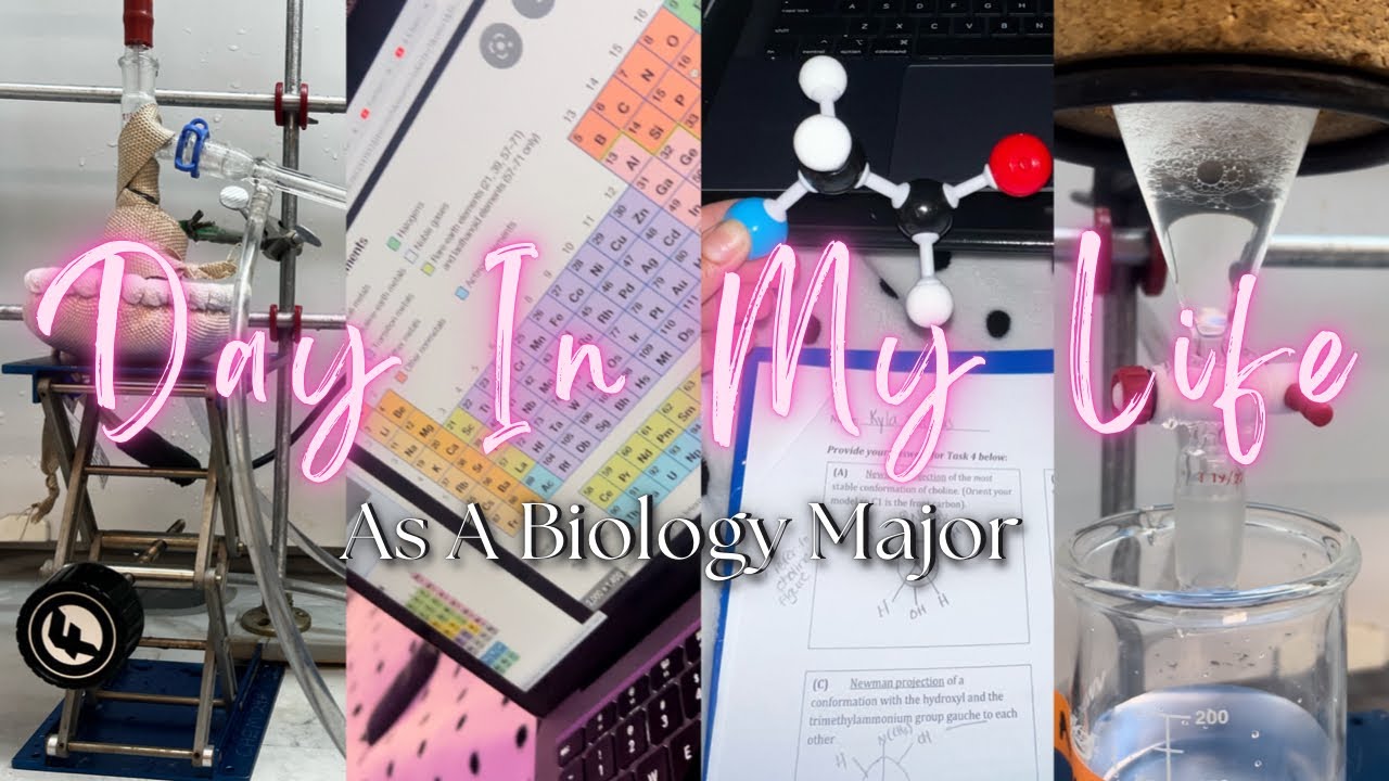 Day in The Life of a Biology Major at Kennesaw State University: All ...