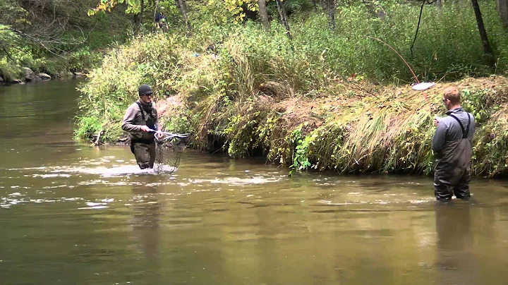 My six year old son's first salmon