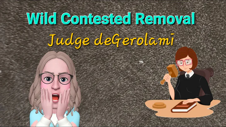 Contested Removal - Judge deGerolami