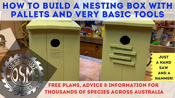 DIY nesting box bird house from pallets & cheapest tools - how to -  Australian Parrot - FREE plans