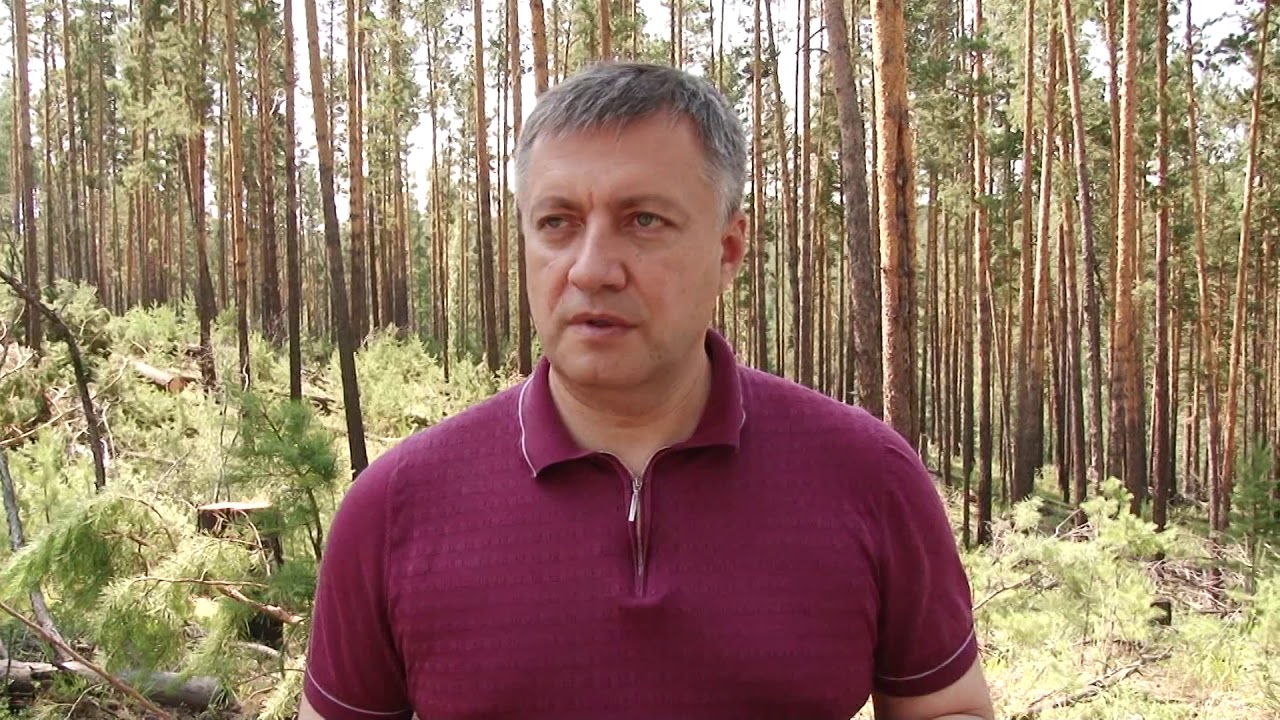 Кобзев Игорь Иванович Фото