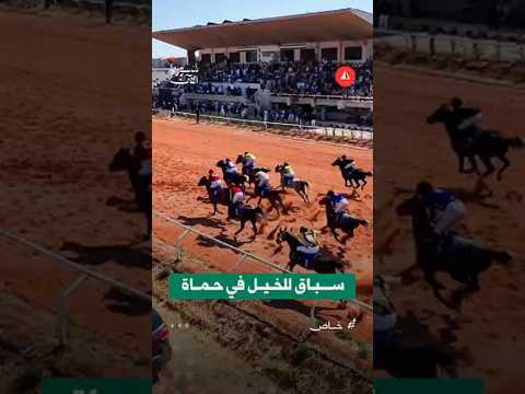 لقطات جوية من انطلاق سباق الدوري السابع للخيول العربية الأصيلة بميدان الفروسية في حماة