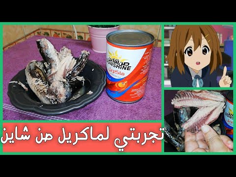 منتج سمك الماكريل صن شاين تقيمي و تجربتي حكاوي مطبخ مع مطبخ هناء