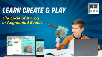 XR Blocks Tutorial 2 - Life cycle of frog