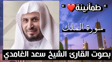 سورة الملك سعد الغامدي