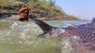 Really Incredible Fishing Method In River Underwater Big Monster Fish Catching By Chain #fishing