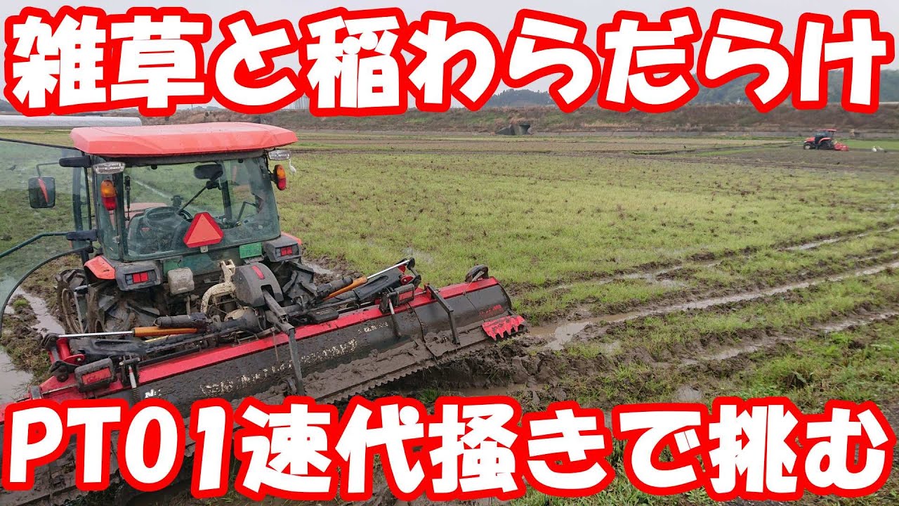 Thank you for your comment. This is the rice field with a lot of