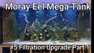 Moray Eel Mega Tank   05  Filtration Upgrade  Part 1