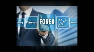 How to Choose Best and Top Forex Brokers