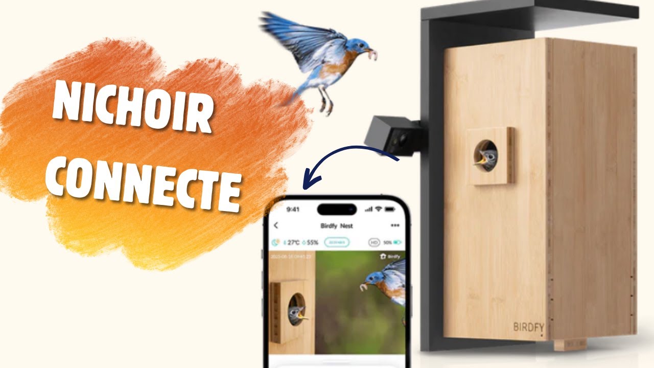 Nichoir à Oiseaux Avec Double Caméra 1080P Et IA - Observation En Direct, Vision Nocturne - Pour Mésanges