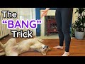 Train Your Dog to Do the Train Your Dog to Do the