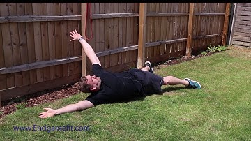 Prone Thoracic Rotations