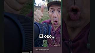Filmo una osa casi albina en Asturias. #oso #osopardo #ursusarctos #somiedo #asturias #fauna