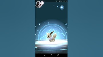 *EEVEELUTIONS* SHINY FLAREON