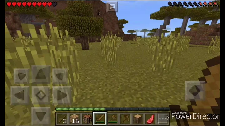 Minecraft pt1