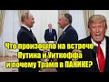 Что произошло на встрече Путина и Уиткоффа и почему Тр