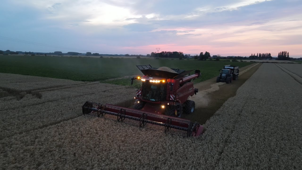 Moisson de blé avec la nouvelle CASE IH Axial flow de la Ferme des 3 Pommes