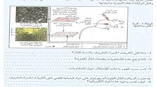 الحصة الاولى من درس المناعة النوعية احسن شرح