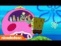 Губка Боб Квадратные Штаны | 2 сезон 10 серия | Nickelodeon Россия